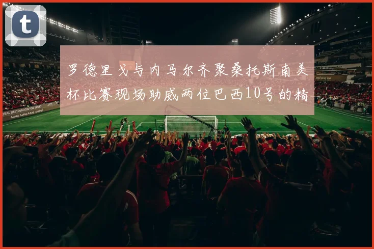 罗德里戈与内马尔齐聚桑托斯南美杯比赛现场助威两位巴西10号的精彩时刻