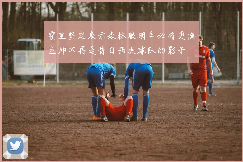 霍里坚定表示森林狼明年必将更换主帅不再是昔日西决球队的影子